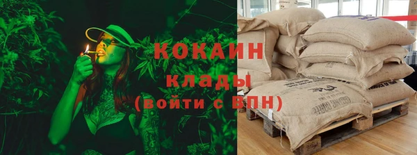дмт Богородицк