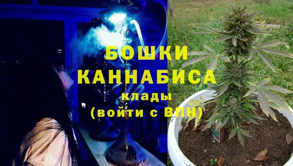 дмт Богородицк