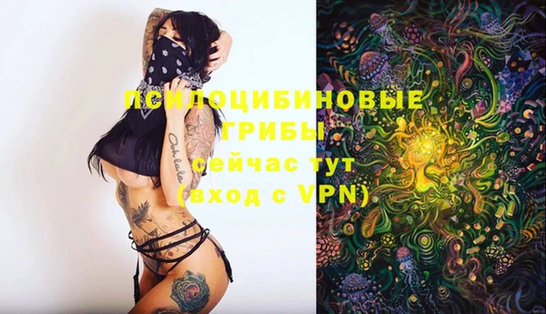 эйфоретик Богданович