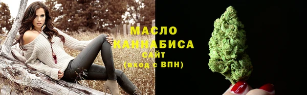дмт Богородицк