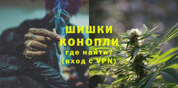 дмт Богородицк