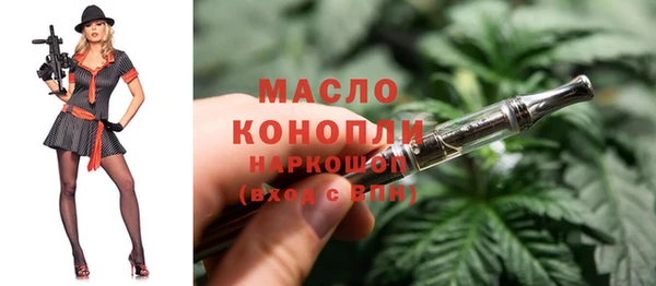 дмт Богородицк