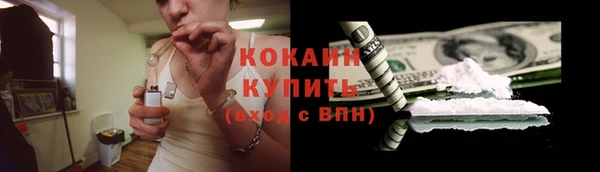 эйфоретик Богданович