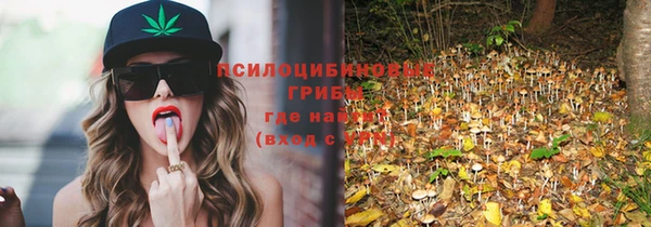 дмт Богородицк