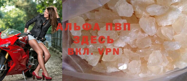 эйфоретик Богданович