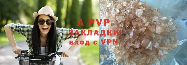 эйфоретик Богданович