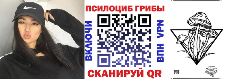 Псилоцибиновые грибы мицелий  Торопец 