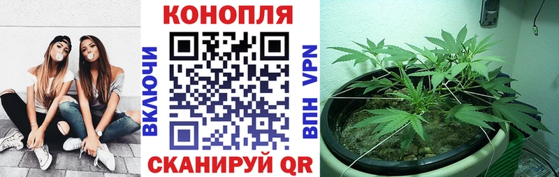 Марихуана семена  купить наркотики сайты  Торопец 